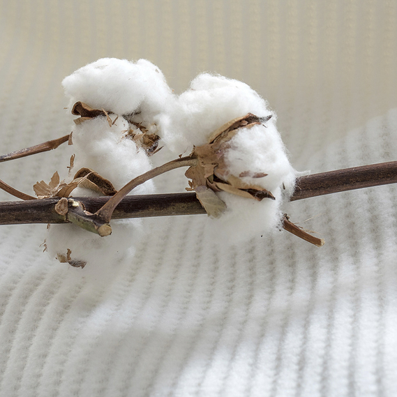 Плед покривало Adina 200х220 см бавовняне TM IDEIA молоко, фото 10 Плед покривало Adina 200х220 см бавовняне TM IDEIA молоко, фото 10