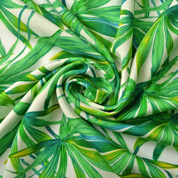 шефлера білий, Флора, фото 1  шефлера білий, Флора, фото 1