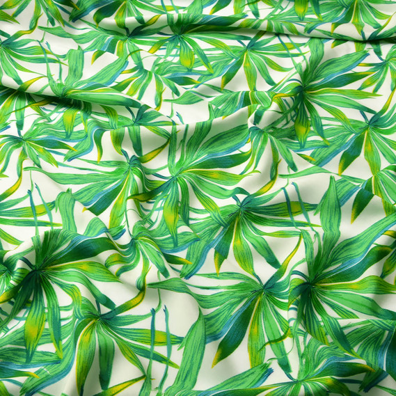 шефлера білий, Флора, фото 2  шефлера білий, Флора, фото 2