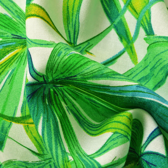 шефлера білий, Флора, фото 3  шефлера білий, Флора, фото 3