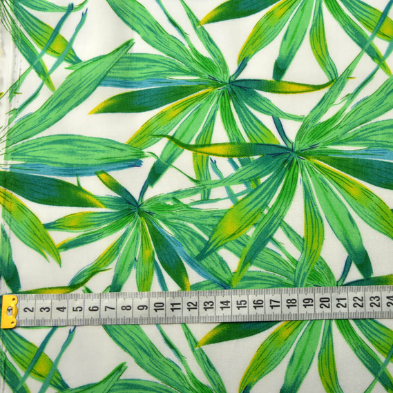 шефлера білий, Флора, фото 4  шефлера білий, Флора, фото 4