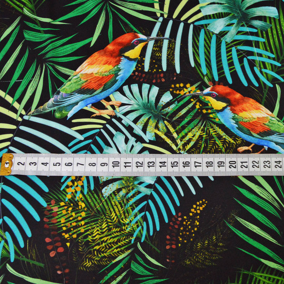 Атлас D&G колібрі чорний, Фауна, фото 2