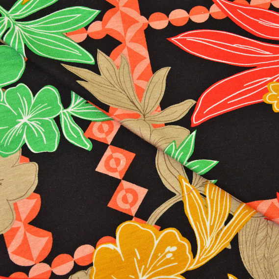  папороть на чорному, Флора, фото 1