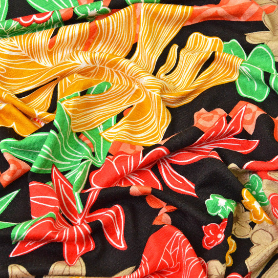  папороть на чорному, Флора, фото 2