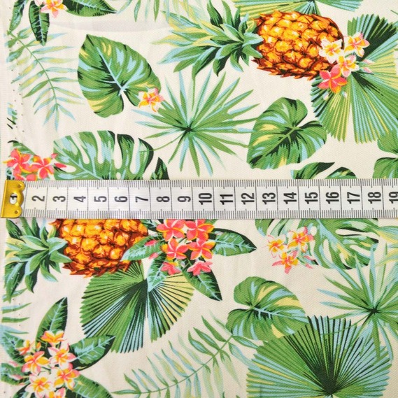  тропіки, Флора, фото 2