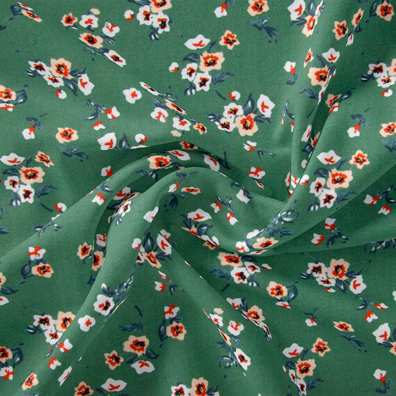  веснянка папороть, фото 1