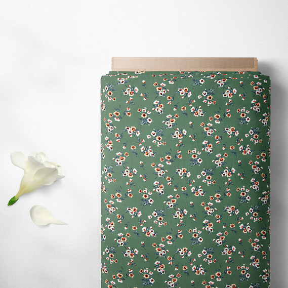  веснянка папороть, фото 2