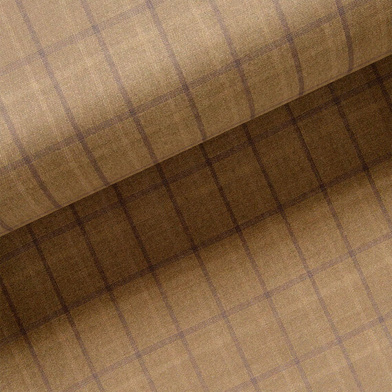 олива , фото 1  олива , фото 1