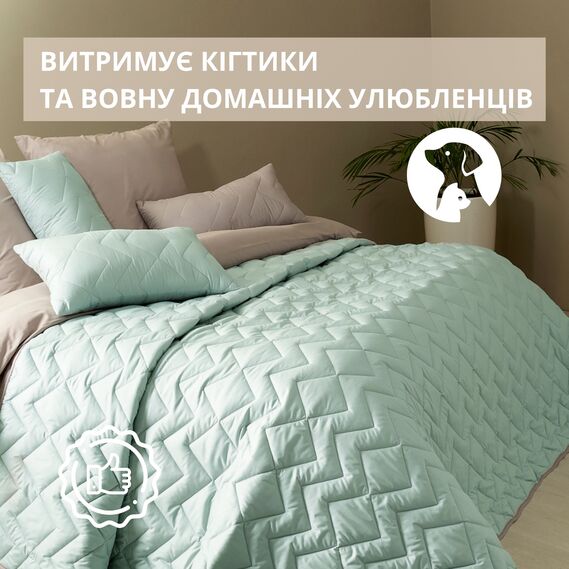 Blanket double-sided Іззі TM IDEIA 240х260 см м`ята/св.сірий, фото 6