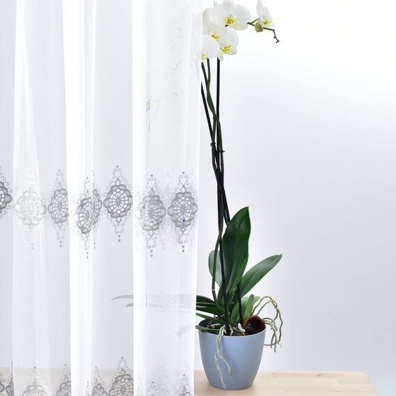 Тюль батист з вишивкою Голубіна V-gri, фото 1