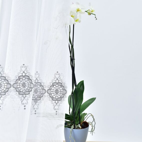 Тюль батист з вишивкою Голубіна V-gri, фото 4