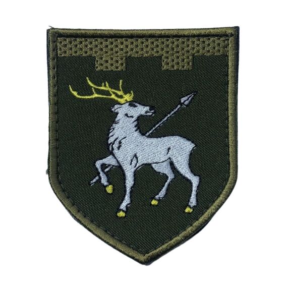 Шеврон на липучке 123-я отдельная бригада территориальной обороны 7,3х9 см, фото 1