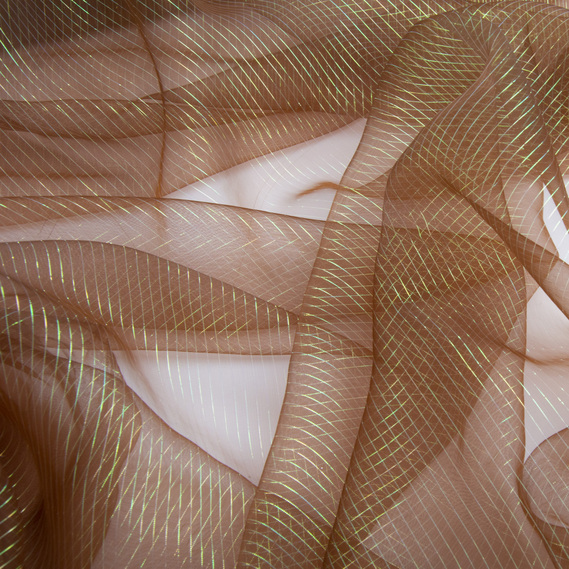 Organza chameleon stripes коричнева, фото 2