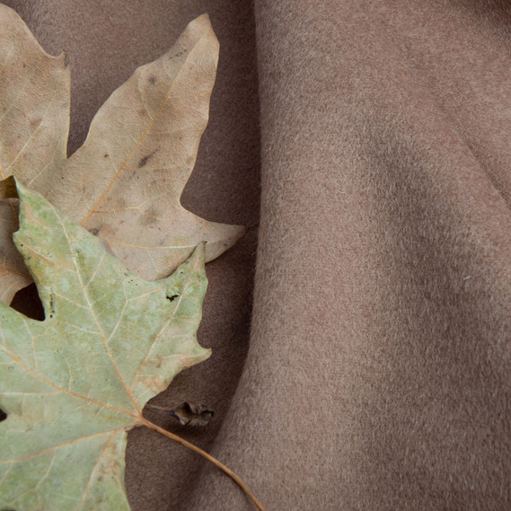 Ткань пальтовая Анеля беж, фото 3