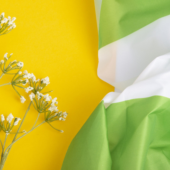 Tent fabric Oxford 160 g/m2 смуга широка білий салат, фото 2