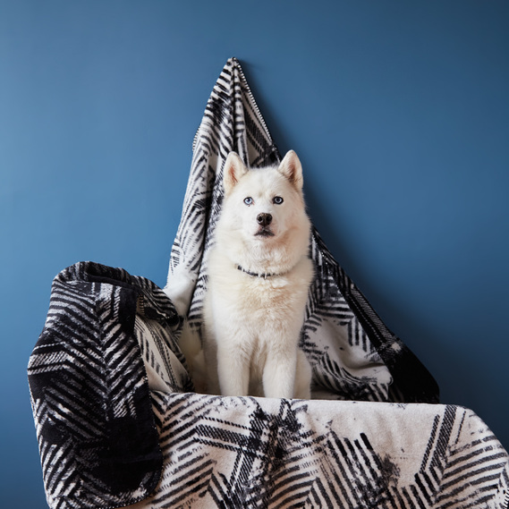 Плед покрывало Kassandra 200x220 см хлопковое TM IDEIA чорний, фото 1