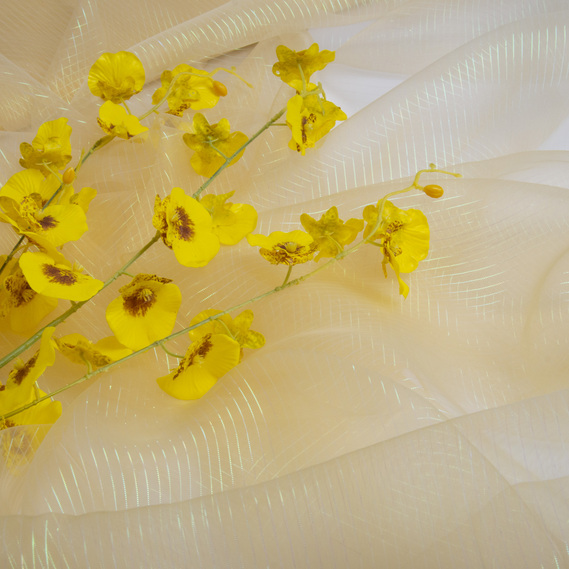 Organza chameleon stripes пісок, фото 3