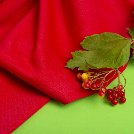 Тканина трикотаж Лакоста червоний, фото 3