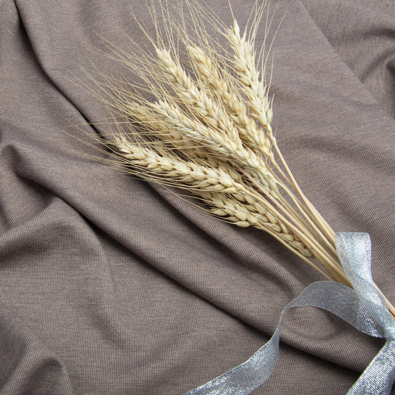 Тканина трикотаж Сімона темний беж, фото 3 Тканина трикотаж Сімона темний беж, фото 3