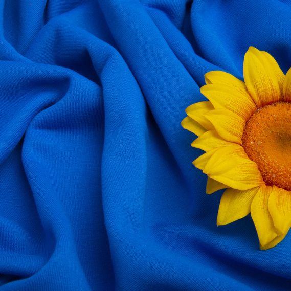 Ткань трикотаж трехнитка петля Сезон волошка, фото 4 Ткань трикотаж трехнитка петля Сезон волошка, фото 4