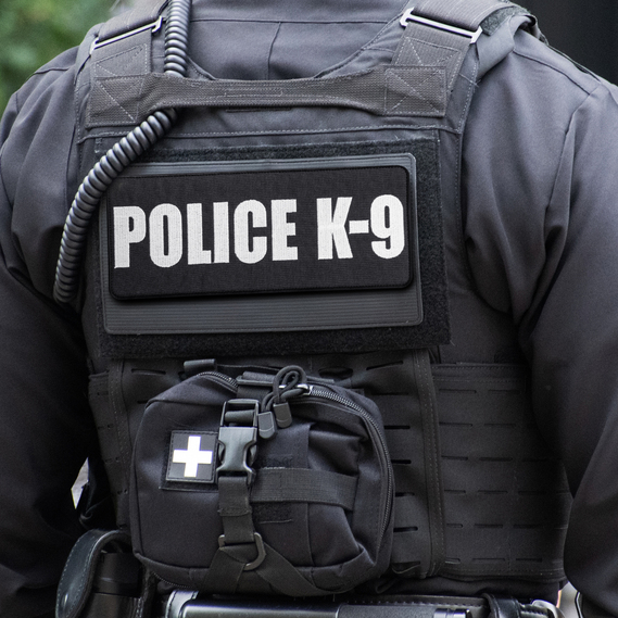 Набір шевронів 3 шт на лупучці Police K-9, вишиті патчі нашивки, фото 10