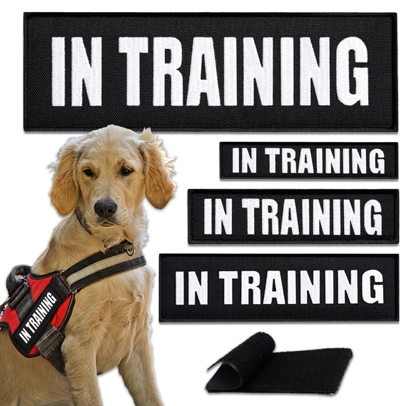 Dog Training Integrity K9 Services Private Dog Training Near Me