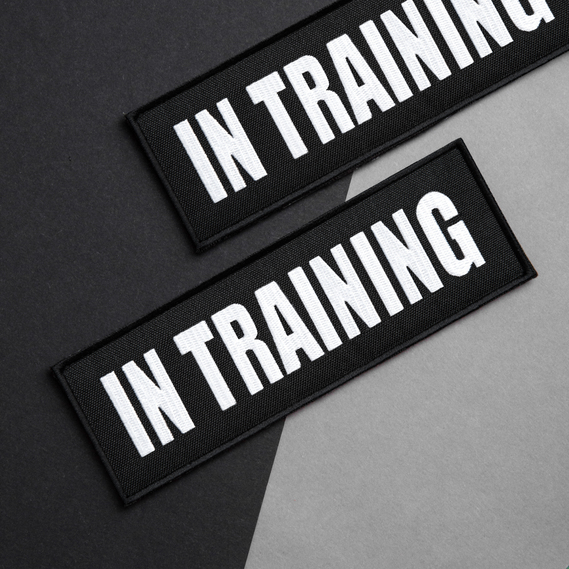 Набір шевронів 4 шт з липучкою In Training для службових собак, для кінологів, кінологічна служба, нашивка, вишитий патч, фото 3