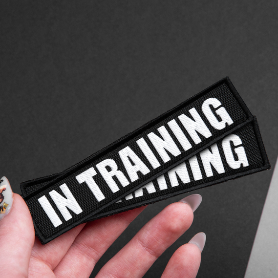 Набір шевронів 4 шт з липучкою In Training для службових собак, для кінологів, кінологічна служба, нашивка, вишитий патч, фото 7