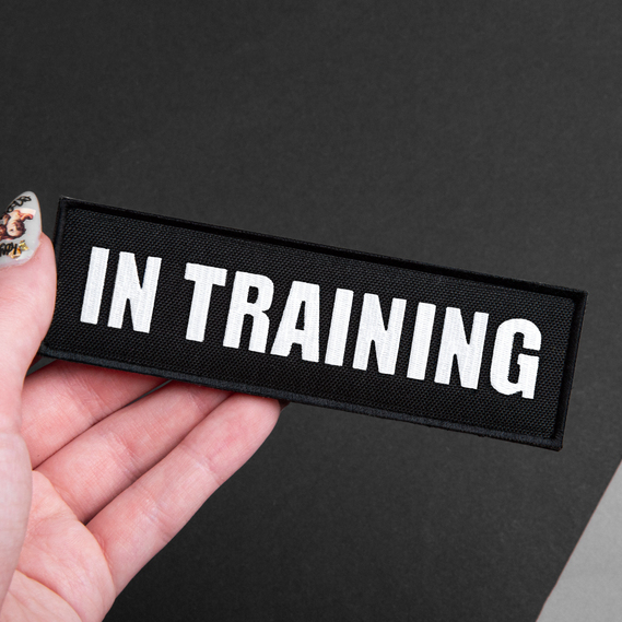 Набір шевронів 4 шт з липучкою In Training для службових собак, для кінологів, кінологічна служба, нашивка, вишитий патч, фото 8