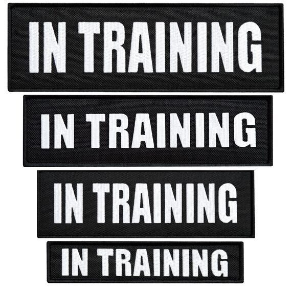 Набір шевронів 4 шт з липучкою In Training для службових собак, для кінологів, кінологічна служба, нашивка, вишитий патч, фото 9