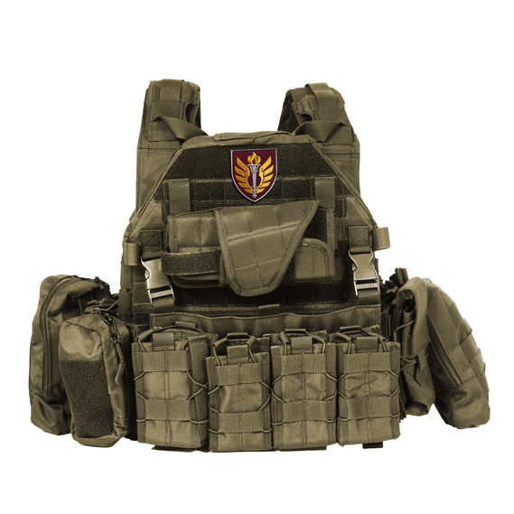 Set of chevrons 2 pcs with velcro DSHV educational center 199, 7x8.2 cm, embroidered patch, фото 5