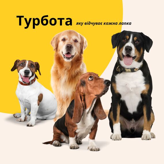 Лежанка матрас 80х120х12 см лежак для домашних животных размер XL с чехлом на молнии и подушкой для собак и кошек сірий, фото 8