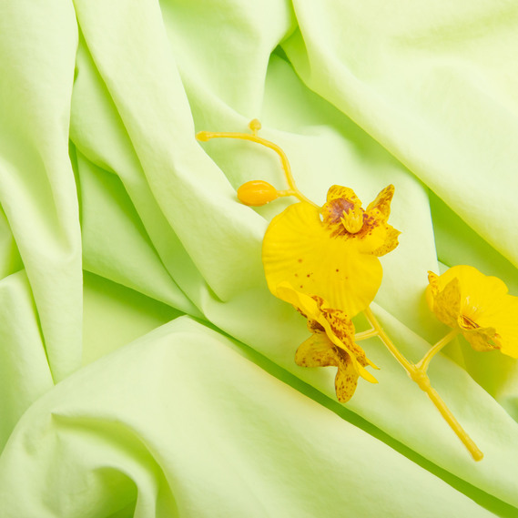 Coating fabric, 150 cm wide, 60 g/m² салат, фото 3 Coating fabric, 150 cm wide, 60 g/m² салат, фото 3