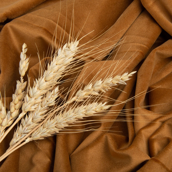 Ткань велюр однотонный Вайлет 150 см 290 гр/м2, для одежды, платьев, костюмов, юбок кемел, фото 3