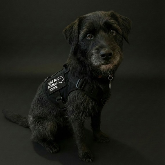 Набір шевронів 2 шт Щоб Ви без мене робили чорний 5х8 см, іроничний патч, нашивка, шеврон з липучкою, фото 8