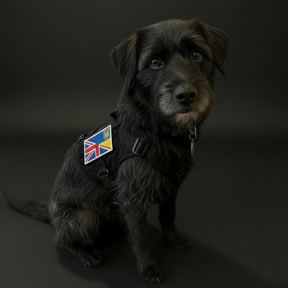 2-Piece Patch Set UK and Ukraine Flag, 5х8 cm, Dual Flag Embroidered Patch with Hook Backing, фото 6