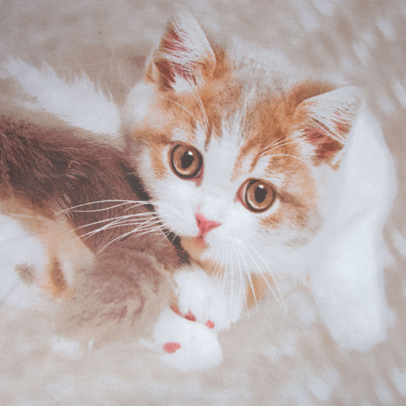 Ткань бязь ранфорс для постельного белья, хлопок, 125 гр/м2, 220 см R-11302 А Барсик, фото 2