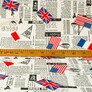 Decorative Америка, Газета, фото 2