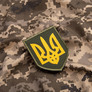 Сhevron Emblem of Ukraine 8х10 см, фото 3