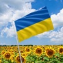 Flag of Ukraine 90х135 см, фото 2