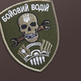 Combat Driver Velcro patch 7x9 cm хакі, фото 2