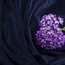 Solid velour knitted fabric V-1496 т/синій, фото 4
