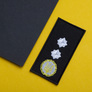 Chevron patch on velcro of the epaulettes of the DSNS rank Lieutenant General, embroidered patch 5x10 cm, фото 4 Chevron patch on velcro of the epaulettes of the DSNS rank Lieutenant General, embroidered patch 5x10 cm, фото 4