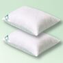 Set of 2 pillows Soft IDEIA 50x70 cm two-sided analogue of swan down, фото 1