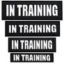 Набір шевронів 4 шт з липучкою In Training для службових собак, для кінологів, кінологічна служба, нашивка, вишитий патч, фото 9