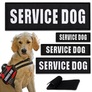 Набір шевронів 4 шт з липучкою Service Dog для службових собак, для кінологів, кінологічна служба, нашивка, вишитий патч, фото 1
