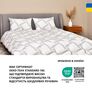 Set of pillow 50x70 cm 2 pieces and euro blanket 200x220 cm Elegantly IDEIA, analogue of swan down, artificial down, soft pillow with zipper, фото 11 Set of pillow 50x70 cm 2 pieces and euro blanket 200x220 cm Elegantly IDEIA, analogue of swan down, artificial down, soft pillow with zipper, фото 11