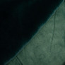 Тканина штучне хутро Ванкувер 520 гр/м2 160 см для шуб, жилеток, сумок, покривал та декору 1534 т/зелене, фото 6